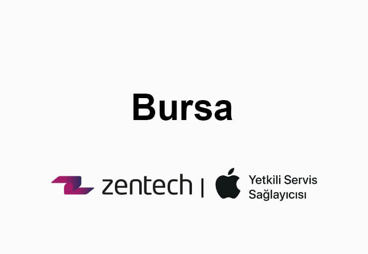 bursa