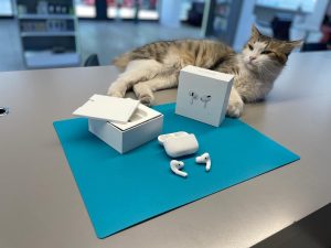 AirPods Tamiri İçin Yetkili Servis; Zentech 2 Airpod ve Kedi